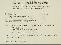 登錄號:F0034790藏品圖，第2張