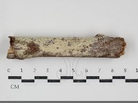 登錄號:F0034790藏品圖，第1張