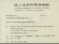 登錄號:F0034791藏品圖，第2張