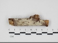 登錄號:F0034791藏品圖，第1張