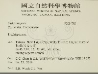 粗糙孢菌屬藏品圖，第2張