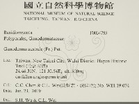 登錄號:F0034793藏品圖，第2張