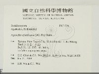 登錄號:F0034794藏品圖，第2張