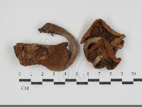 登錄號:F0034794藏品圖，第1張