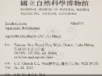 登錄號:F0034795藏品圖，第2張