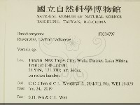 登錄號:F0034797藏品圖，第2張