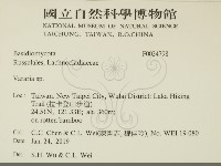 登錄號:F0034798藏品圖，第2張