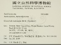 登錄號:F0034800藏品圖，第2張