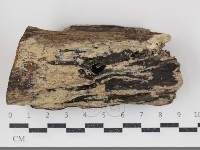 登錄號:F0034800藏品圖，第3張