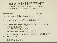 登錄號:F0034801藏品圖，第2張