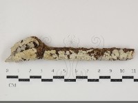 登錄號:F0034801藏品圖，第1張