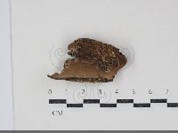 登錄號:F0034802藏品圖，第1張