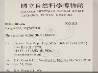 登錄號:F0034803藏品圖，第2張