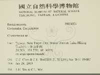 登錄號:F0034804藏品圖，第2張