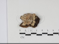 登錄號:F0034804藏品圖，第1張