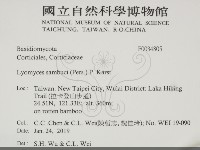 登錄號:F0034805藏品圖，第2張