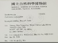 登錄號:F0034806藏品圖，第2張