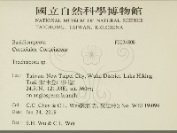 館號:F0034808藏品圖，第2張