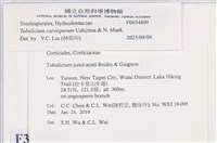 登錄號:F0034809藏品圖，第3張