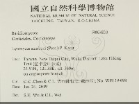 登錄號:F0034810藏品圖，第2張