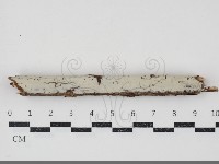 登錄號:F0034810藏品圖，第1張