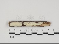 登錄號:F0034811藏品圖，第1張