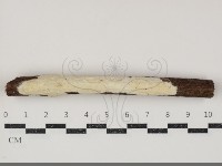 登錄號:F0034813藏品圖，第1張