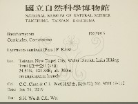 登錄號:F0034815藏品圖，第2張