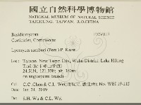 登錄號:F0034817藏品圖，第2張