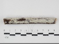 登錄號:F0034817藏品圖，第1張