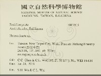 刺皮菌屬藏品圖，第2張