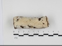 登錄號:F0034820藏品圖，第1張