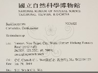 樹脂殼菌屬藏品圖，第2張