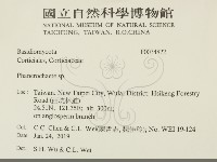 顯絲菌屬藏品圖，第2張