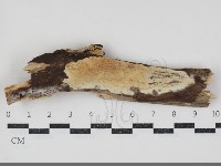 登錄號:F0034823藏品圖，第1張