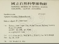 登錄號:F0034824藏品圖，第2張