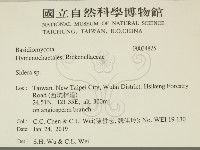 登錄號:F0034825藏品圖，第2張