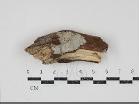 登錄號:F0034825藏品圖，第1張