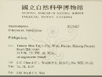 登錄號:F0034827藏品圖，第2張