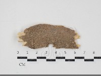 登錄號:F0034827藏品圖，第1張