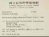 登錄號:F0034828藏品圖，第2張