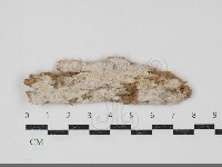 登錄號:F0034828藏品圖，第1張