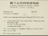 登錄號:F0034829藏品圖，第2張