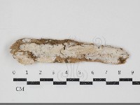 登錄號:F0034829藏品圖，第1張