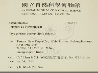 登錄號:F0034830藏品圖，第2張