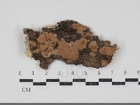 登錄號:F0034830藏品圖，第1張