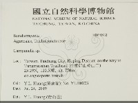 登錄號:F0034831藏品圖，第2張