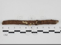 登錄號:F0034831藏品圖，第1張