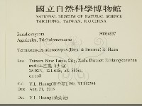 登錄號:F0034837藏品圖，第2張