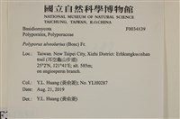登錄號:F0034839藏品圖，第3張